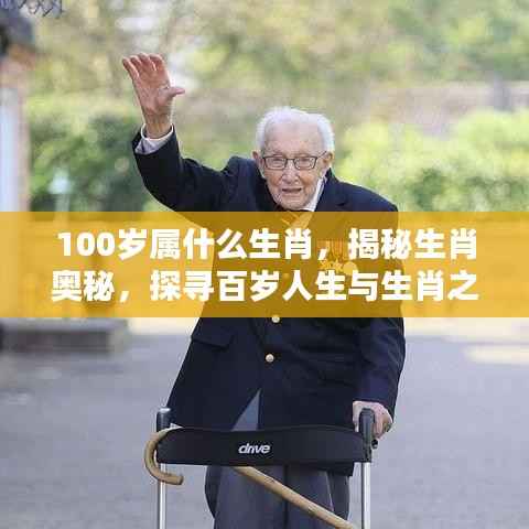 揭秘生肖奥秘,百岁人生与生肖的不解之缘