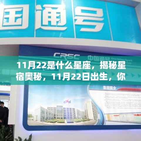 揭秘星宿奥秘,揭秘11月22日出生者的星座运势与性格特征
