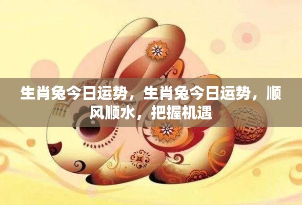 生肖兔今日运势大解析,顺风顺水,机遇把握之道