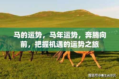 马年奔腾运势,把握机遇,勇往直前