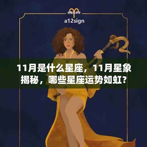 揭秘十一月星象运势,哪些星座运势如虹?