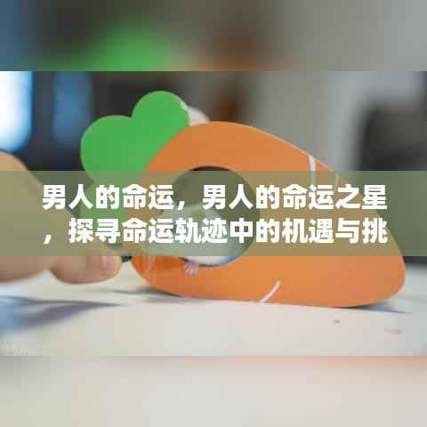 探寻命运轨迹,男人的机遇与挑战之星