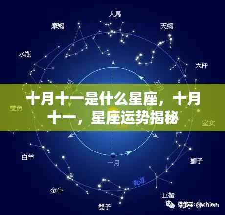 十月十一日星座运势揭秘,探索星座奥秘,洞悉未来走向