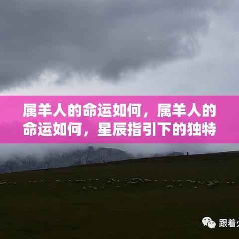 星辰指引下的属羊人命运探索,独特人生轨迹揭秘