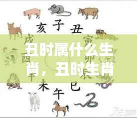 丑时生肖揭秘,探寻生肖运势与星象奥秘关联