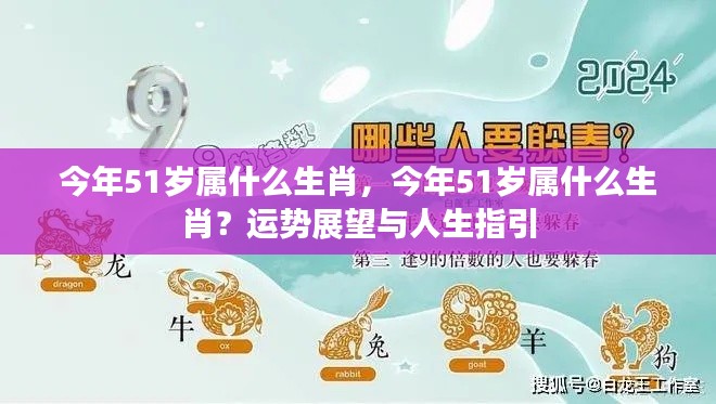 今年51岁属生肖运势展望与人生指引,洞悉运势,指引未来之路。