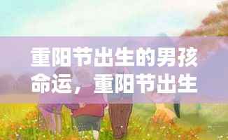 重阳节出生的男孩命运解析,天赋异禀与无限潜力之星