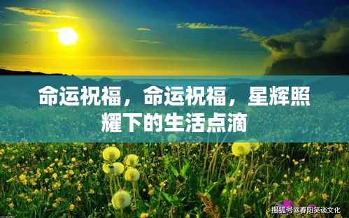 星辉照耀下的命运祝福生活点滴