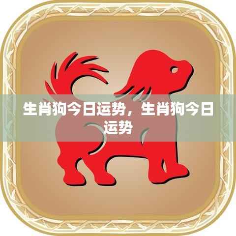 生肖狗今日运势详解