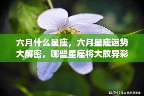 六月星座运势揭秘,哪些星座在六月将大放异彩?