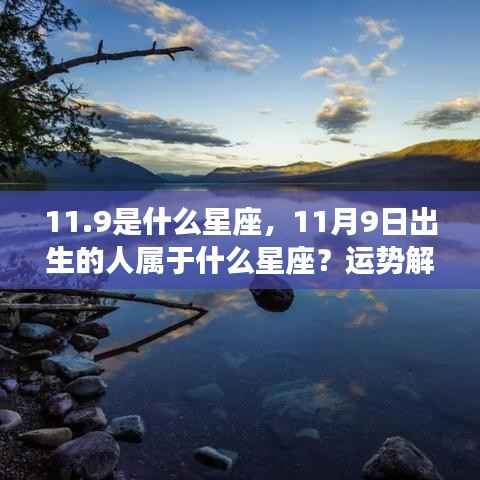 11月9日出生者的星座运势与性格揭秘，星座解析及性格特征探索