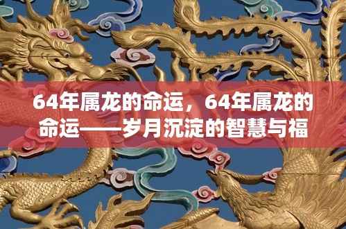 岁月沉淀的智慧与福泽,揭秘属龙命运之轨迹(1964年)