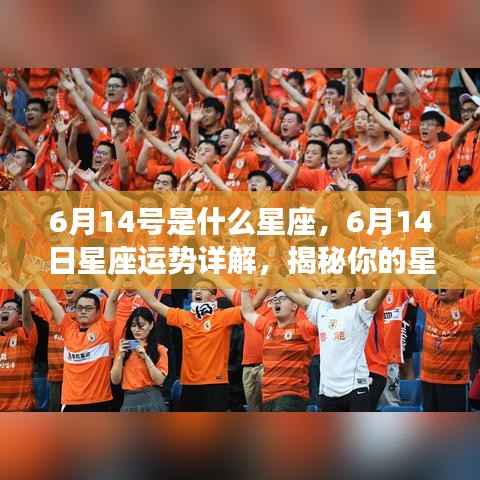 6月14日星座运势揭秘，性格特质与未来走向探索