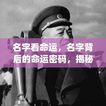 名字与命运的神秘联系，揭秘名字背后的命运密码及其影响人生轨迹的微妙联系