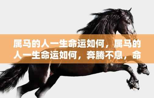 属马的人一生命运如何,属马的人一生命运如何,奔腾不息,命运多舛