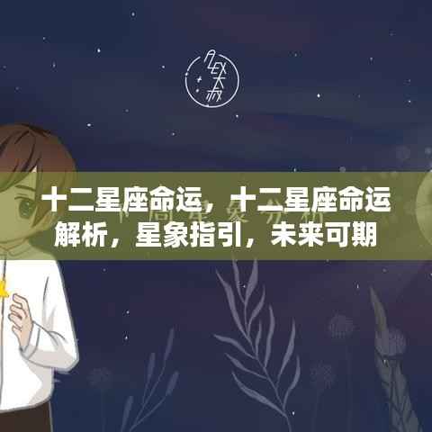 十二星座命运解析,星象指引下的未来可期之路