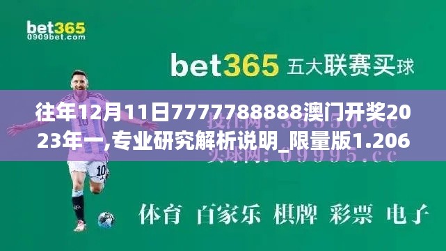往年12月11日7777788888澳门开奖2023年一,专业研究解析说明_限量版1.206