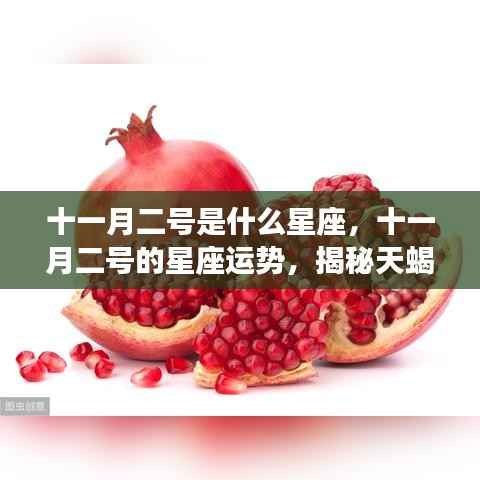 揭秘十一月二号天蝎座运势,机遇与挑战并存,星座神秘面纱下的秘密解读