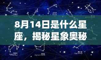 揭秘星象奥秘，8月14日星座运势解析及星座特征探索