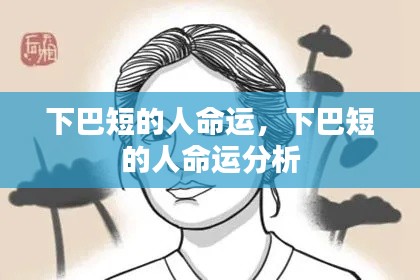 下巴短的人命运解析与探讨