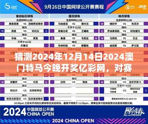 猜测2024年12月14日2024澳门特马今晚开奖亿彩网,对赛马专家观点的综合评估