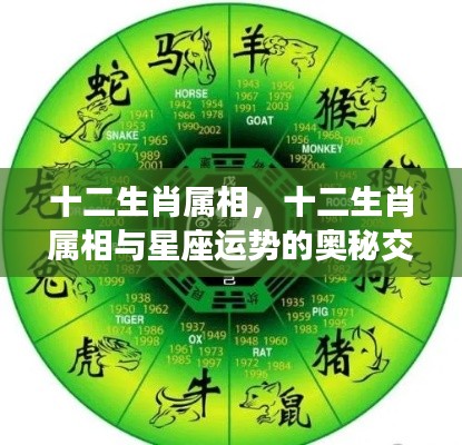 十二生肖属相与星座运势的奥秘交织探秘