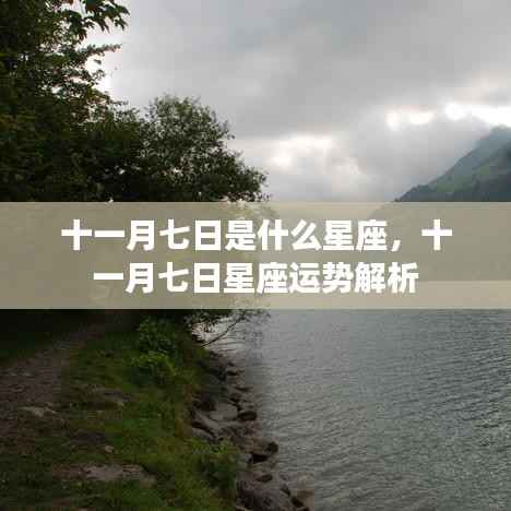 十一月七日星座运势解析,探寻属于你的星座秘密
