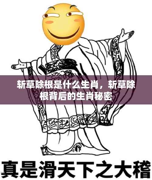 斩草除根背后的生肖秘密揭晓,揭秘生肖与斩草除根的神秘联系