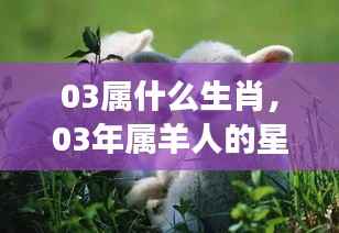 揭秘生肖羊在星座运势中的秘密,从生肖到星座运势深度解析