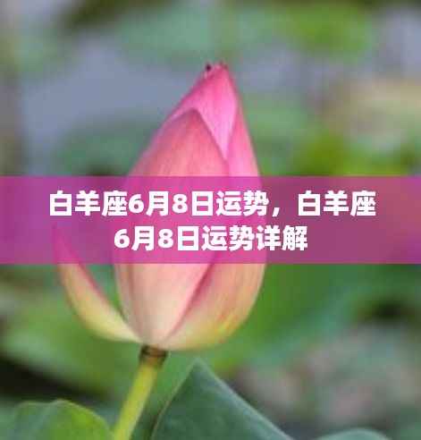 白羊座6月8日运势详解及运势分析预测