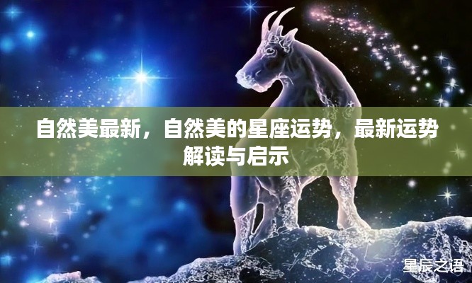 自然美的星座运势最新解读,启示与预测