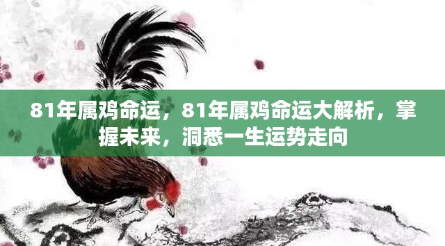 揭秘81年属鸡命运,洞悉一生运势走向大解析
