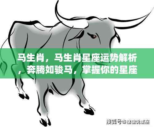 马生肖运势解析,掌握星座走向,奔腾如骏马的力量助你前行!