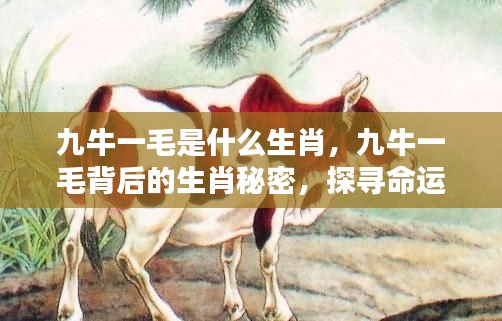 九牛一毛背后的生肖秘密，探寻命运之轮中的特殊缘分与生肖缘分解析