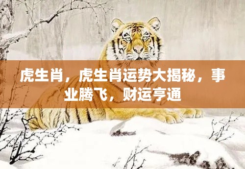 虎生肖运势揭秘,事业腾飞,财运亨通之道