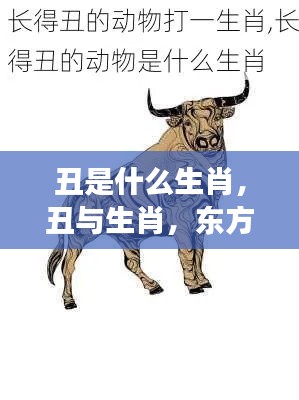 丑与生肖,东方神秘文化中的独特解读