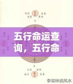 五行命运解析，洞悉个人命运走势与人生轨迹的奥秘查询