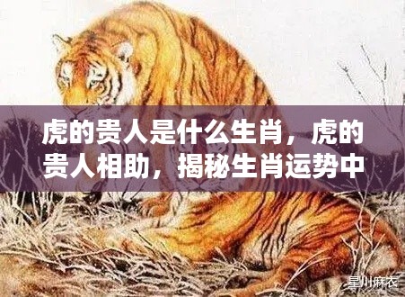 揭秘生肖虎贵人相助的神秘力量,贵人属相全解析
