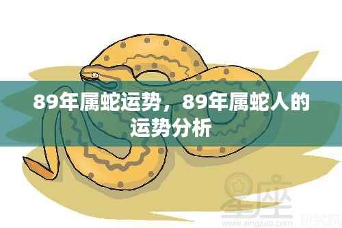 89年属蛇人的运势详解与运势分析