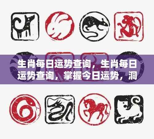 今日生肖运势解析，掌握运势动态，洞悉未来走向。