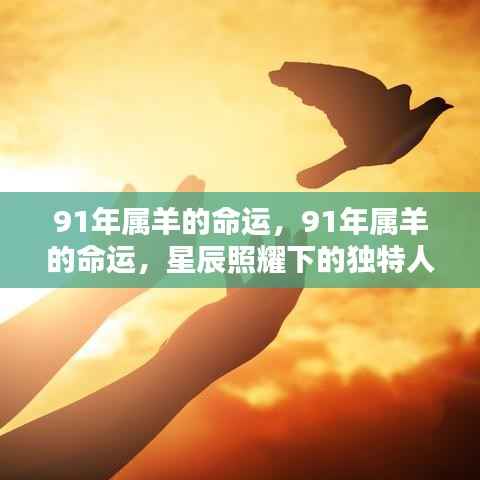 星辰照耀下的独特人生轨迹,揭秘91年属羊命运