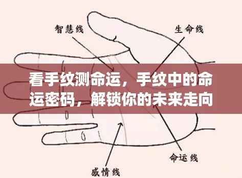 手纹中的命运密码,揭示未来走向的奥秘