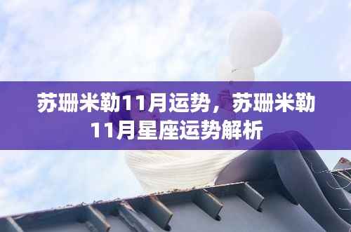 苏珊米勒11月星座运势深度解析,洞悉未来运势走向