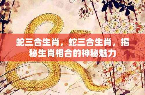 揭秘蛇生肖的三合生肖,神秘魅力的探索