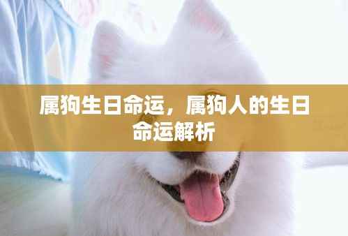 属狗人的生日命运详解,生肖狗的生命磁场解析