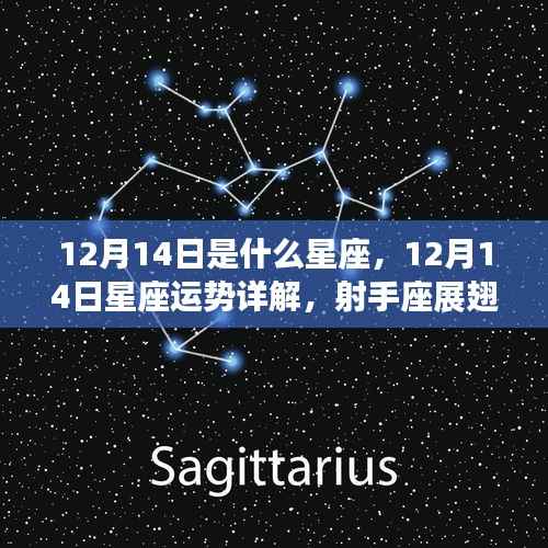 12月14日星座运势详解,射手座展翅高飞的日子
