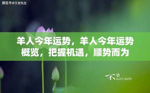 羊年运势概览,把握机遇,顺势而为的羊人运势展望