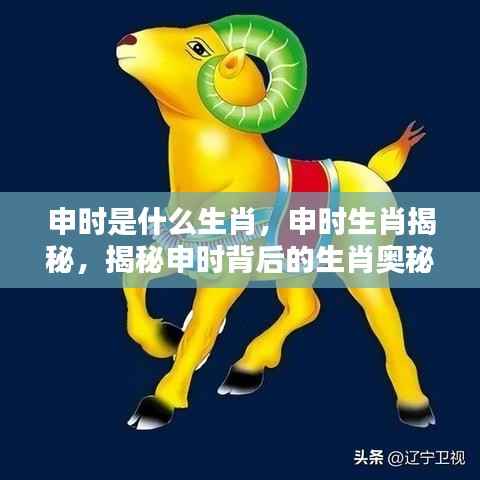 揭秘申时背后的生肖奥秘,探寻生肖与时间的神秘联系