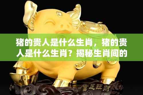 揭秘生肖猪的贵人关系,哪些生肖是猪的贵人?