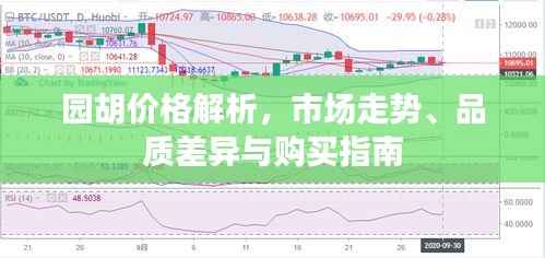 园胡价格解析,市场走势、品质差异与购买指南